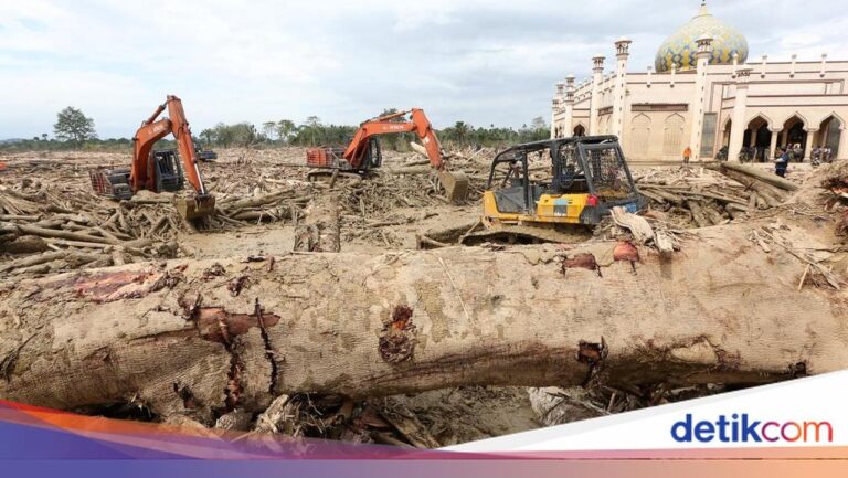 Bencana Sumatera: 1.135 Tewas, 489 Ribu Warga Mengungsi Akibat Banjir dan Longsor
