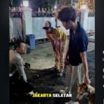 Anjing Liar Gigit Kucing di CFD Bandung, Polisi Tegur Keras Pemilik