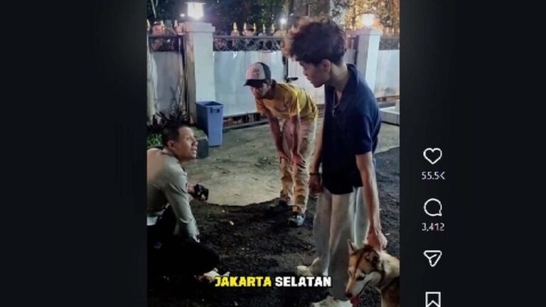 Anjing Liar Gigit Kucing di CFD Bandung, Polisi Tegur Keras Pemilik