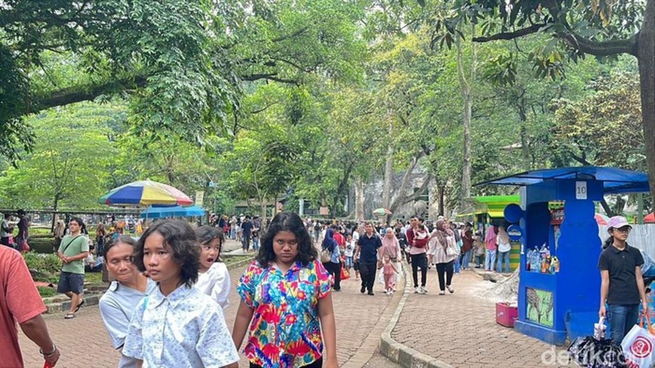Libur Natal 2025: Pengunjung Taman Margasatwa Ragunan Tembus 50 Ribu Orang Libur Natal 2025: Pengunjung Taman Margasatwa Ragunan Tembus 50 Ribu Orang