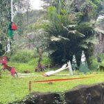 Ragunan Suguhkan Atraksi Feeding Gorila Bertema Natal dan Tahun Baru