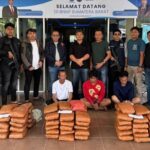 BNNP Sumbar Gagalkan Peredaran 100 Paket Ganja di Agam, Tiga Tersangka Ditangkap