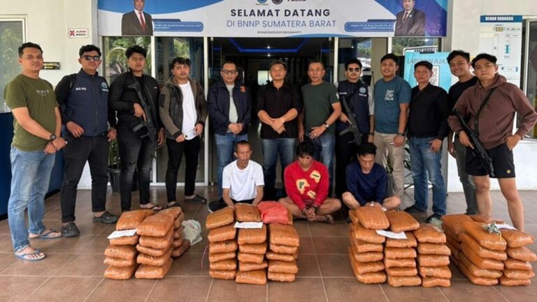 BNNP Sumbar Gagalkan Peredaran 100 Paket Ganja di Agam, Tiga Tersangka Ditangkap