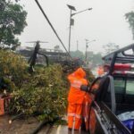 Hujan Angin Terjang Kemang Bogor, Pohon Tumbang dan Atap Rumah Warga Rusak Parah