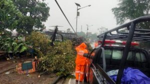 Hujan Angin Terjang Kemang Bogor, Pohon Tumbang dan Atap Rumah Warga Rusak Parah