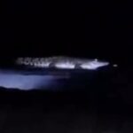 Video Buaya Muncul di Pantai Malang Beredar, Polisi Imbau Warga Segera Melapor Jika Melihat