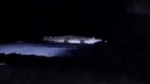 Video Buaya Muncul di Pantai Malang Beredar, Polisi Imbau Warga Segera Melapor Jika Melihat