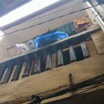 Balita Jatuh dari Lantai 2 Rumah di Jatinegara, Polisi Pastikan Pengawasan Ketat Meski Tak ke Rumah Aman