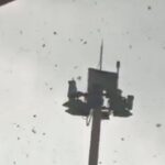 Pohon Tumbang Akibat Puting Beliung Landa Parkiran Bandara Juanda Surabaya