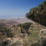 Tiga WNI Terjebak di Pulau Socotra Yaman Akibat Serangan Koalisi Arab Saudi