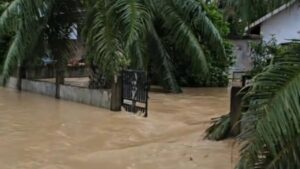 Aceh Timur Dilanda Banjir 1,2 Meter, Ribuan Warga Kembali Mengungsi ke Tempat Aman
