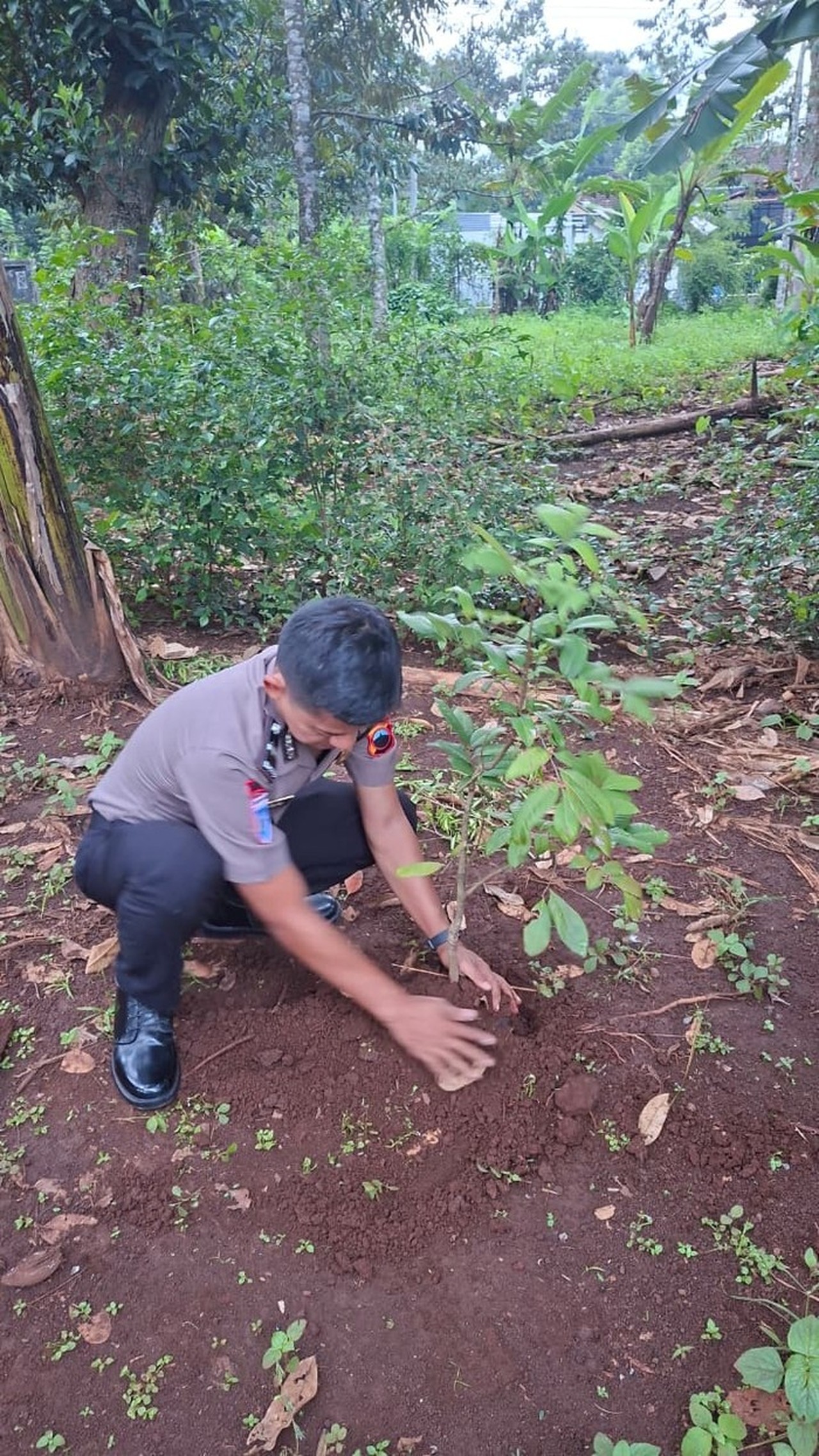 Kapolda Jateng Wajibkan 3.394 Personel yang Naik Pangkat Tanam 13.576 Pohon