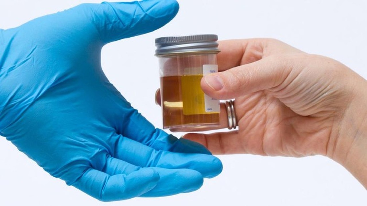 2.263 Napi dan 235 Petugas Lapas Narkotika Jakarta Dites Urine, Sanksi Tegas Menanti