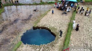 Badan Geologi Ungkap Penyebab Sinkhole Misterius di Sawah Sumatera Barat
