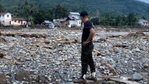 Banjir di Sumatera: Petani Sawit Jalani Ritme Baru Pasca-Air Surut