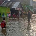 Pintu Kanal Jebol Akibat Banjir Rob, Desa Tridonorejo Demak Terendam