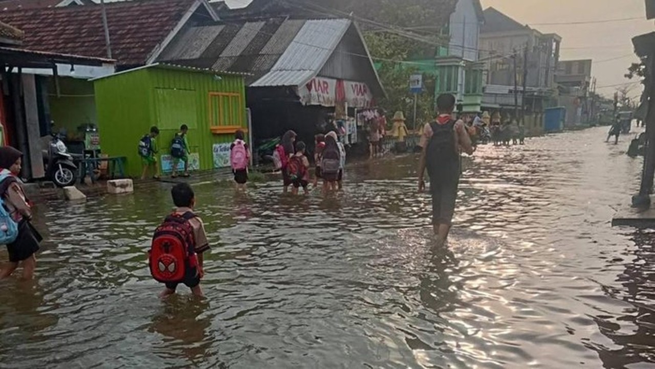 Pintu Kanal Jebol Akibat Banjir Rob, Desa Tridonorejo Demak Terendam Pintu Kanal Jebol Akibat Banjir Rob, Desa Tridonorejo Demak Terendam