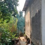 Tersembunyi di Balik Toko, Ini Alasan Patung Liberty Pondok Cabe Tak Dipindah Pemilik