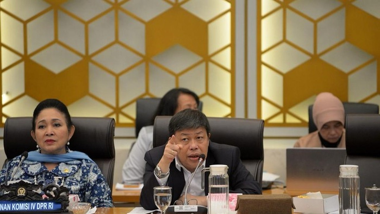 Warga Manfaatkan Kayu Sisa Banjir Sumatera Butuh Payung Hukum, DPR Dukung