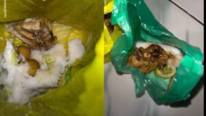 BGN Jelaskan Soal Makanan Bergizi Balita-Bumil Pandeglang Disajikan Pakai Kantong Plastik