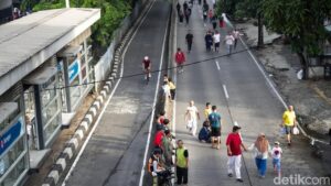 Oknum ASN Diduga Tebang Pohon Ilegal di Kebayoran Lama, Camat Sebut Milik Pemprov DKI