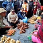 Wamendagri Ribka Haluk Pastikan Percepatan Pembangunan Papua Bersama Kunker Gibran