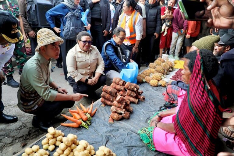 Wamendagri Ribka Haluk Pastikan Percepatan Pembangunan Papua Bersama Kunker Gibran
