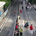 Bina Marga Jaksel: Pohon Kebayoran Lama Diizinkan Dipangkas, Bukan Ditebang Ilegal