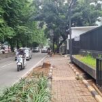 Oknum ASN Terancam Hukuman Usai Tebang Pohon di Jalan Iskandar Muda Jaksel
