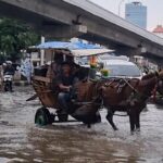 Banjir Kelapa Gading: Delman Jadi Solusi Warga, Kusir Raup Cuan Ratusan Ribu