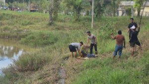 Buaya 3 Meter Terkam Emak-emak di Tarakan, Polisi Beraksi Selamatkan Korban