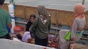 Warga Kabaena Sewa Kapal Rp 3 Juta Demi Rujukan Medis Akibat Ambulans Laut Rusak