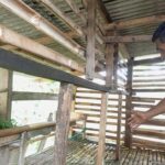 11 Domba Warga Mekarwangi Bogor Dicuri, Jeroan 4 Ekor Ditinggalkan Pelaku