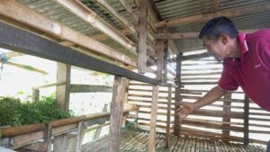 11 Domba Warga Mekarwangi Bogor Dicuri, Jeroan 4 Ekor Ditinggalkan Pelaku