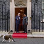 Prabowo ‘Akui’ Larry the Cat di London, Berbeda dengan Bobby Kesayangannya di Tanah Air