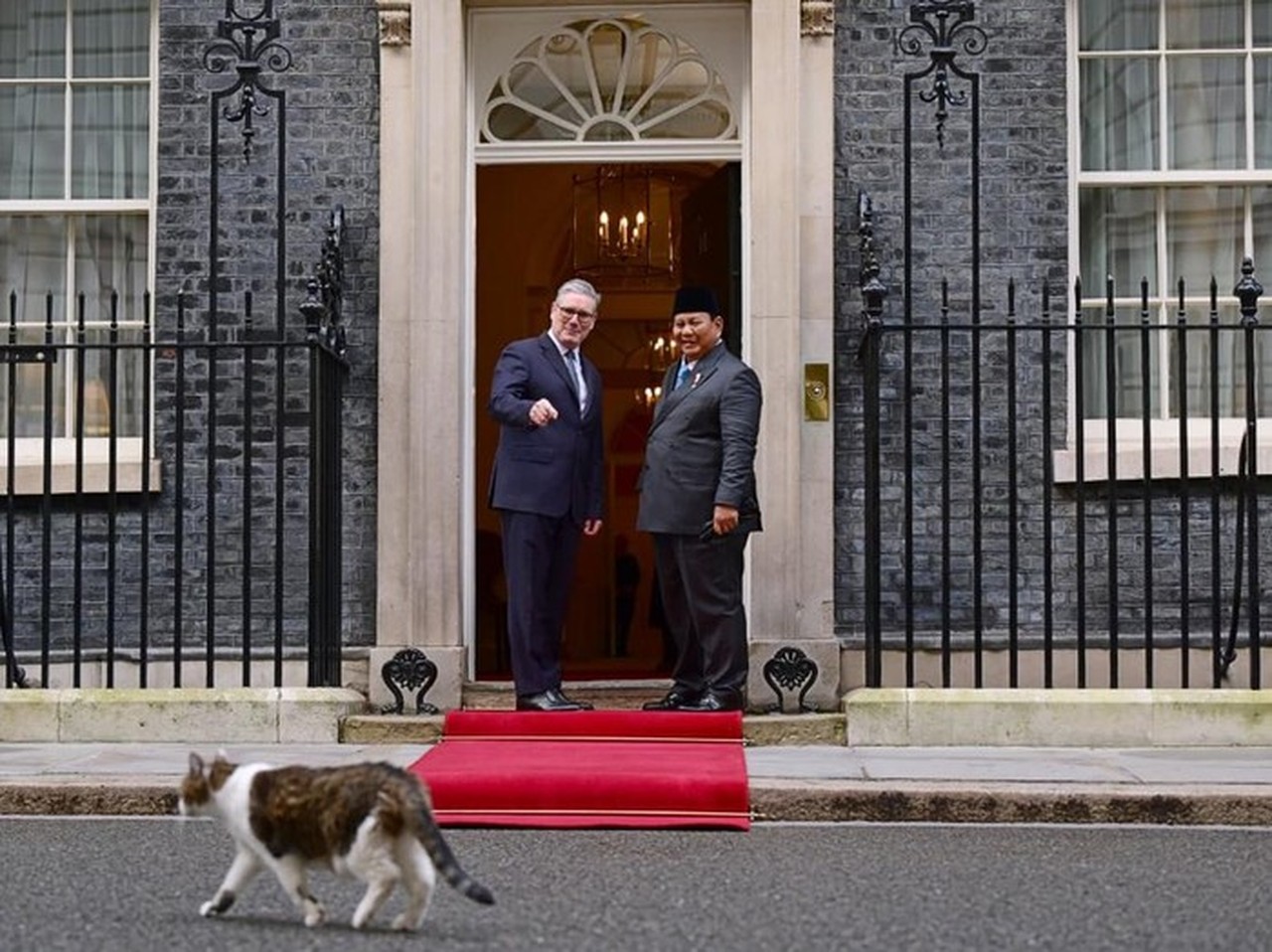 Prabowo ‘Akui’ Larry the Cat di London, Berbeda dengan Bobby Kesayangannya di Tanah Air Prabowo ‘Akui’ Larry the Cat di London, Berbeda dengan Bobby Kesayangannya di Tanah Air