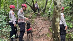 Polda Sulsel Kerahkan Anjing Pelacak K-9 Cari Korban Pesawat ATR 42-500 di Gunung Bulusaraung