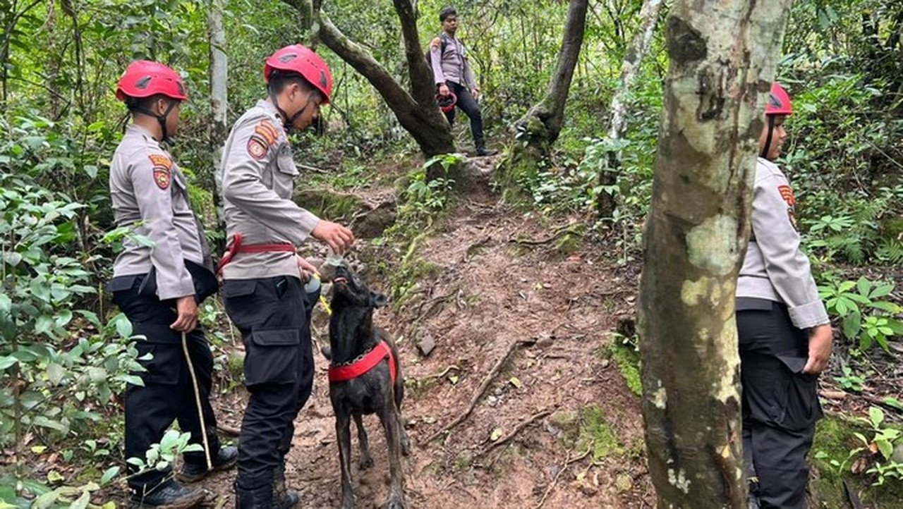 Polda Sulsel Kerahkan Anjing Pelacak K-9 Cari Korban Pesawat ATR 42-500 di Gunung Bulusaraung