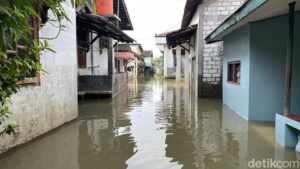 Banjir Pati Meluas, 60 Desa di 7 Kecamatan Masih Terendam, Warga Kecewa Bupati Terjaring KPK