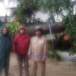 Pohon Beringin 15 Meter Tumbang Timpa Kolam Renang di Ciputat Akibat Hujan Deras