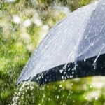 Cuaca Ekstrem Landa Jakarta, Pemprov DKI Imbau ASN dan Pekerja Swasta WFH hingga 28 Januari