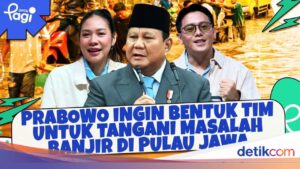 Prabowo Bentuk Tim Kajian untuk Tuntaskan Masalah Banjir Menahun di Pulau Jawa