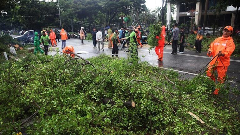 BPBD DKI Jakarta Keluarkan Peringatan Angin Kencang Berlaku Hingga 24 Januari 2026