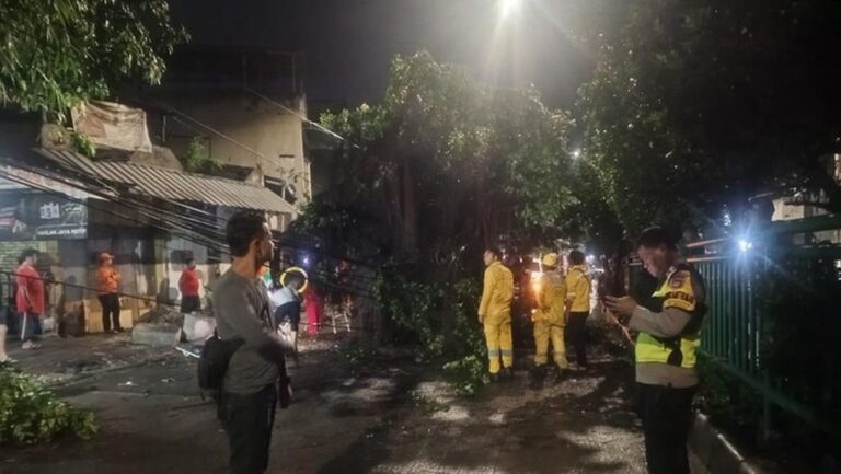 Pohon Tumbang di KS Tubun Palmerah, Polisi Palmerah Respons Cepat Aduan Warga Pohon Tumbang di KS Tubun Palmerah, Polisi Palmerah Respons Cepat Aduan Warga
