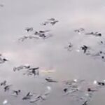 Ratusan Ikan Mati Mendadak di Situ Citongtut Bogor, Pemkab Langsung Turun Tangan