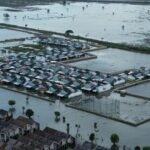 5.168 Hektare Sawah Bekasi Terendam Banjir, Petani Hadapi Ancaman Gagal Panen
