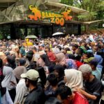 Ribuan Warga Serbu Bandung Zoo di Hari Terakhir Tiket Gratis Akhir Tahun