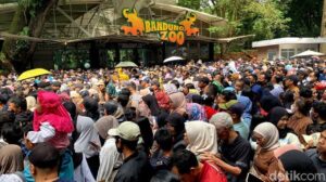 Ribuan Warga Serbu Bandung Zoo di Hari Terakhir Tiket Gratis Akhir Tahun
