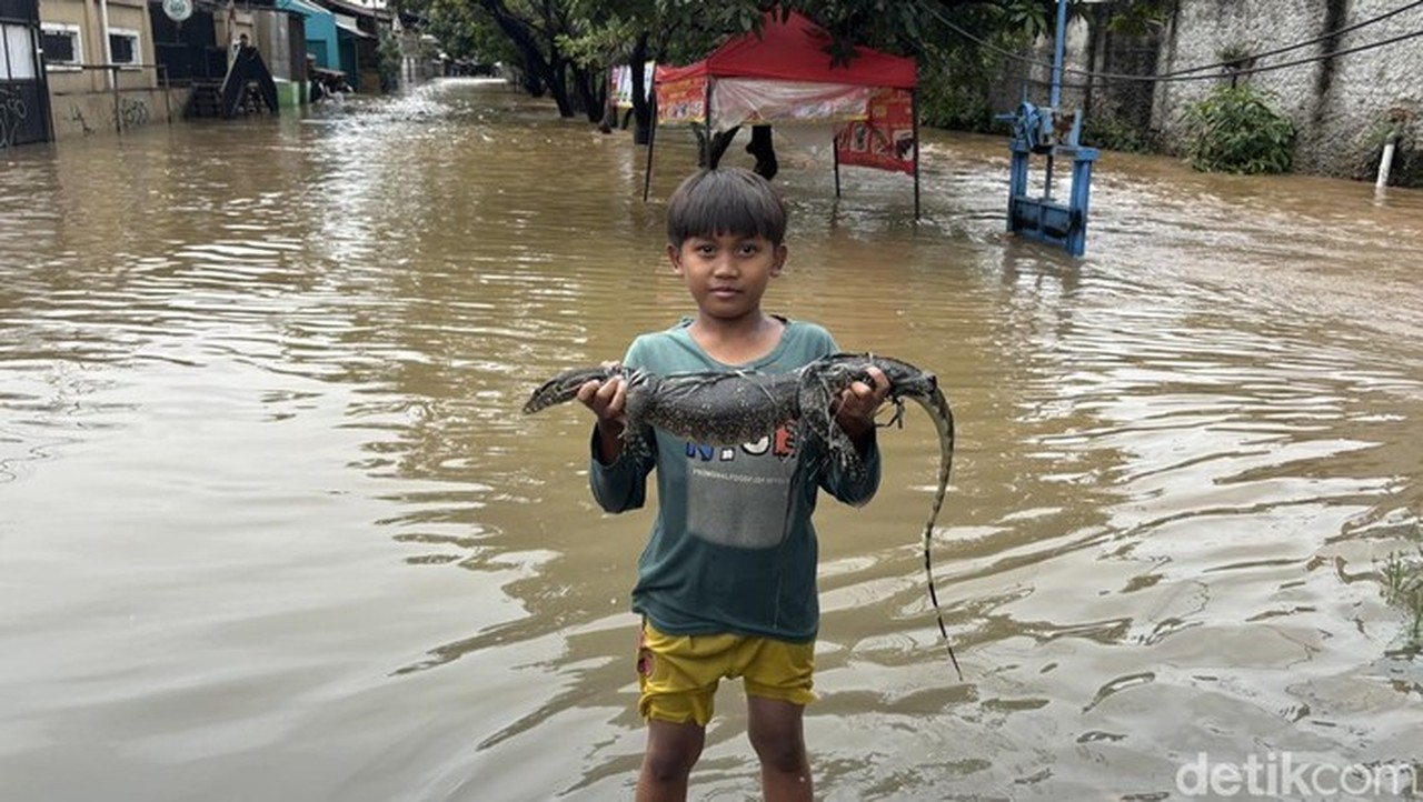 Warga Kranji Bekasi Tangkap Ular Sanca dan Biawak di Tengah Banjir Warga Kranji Bekasi Tangkap Ular Sanca dan Biawak di Tengah Banjir