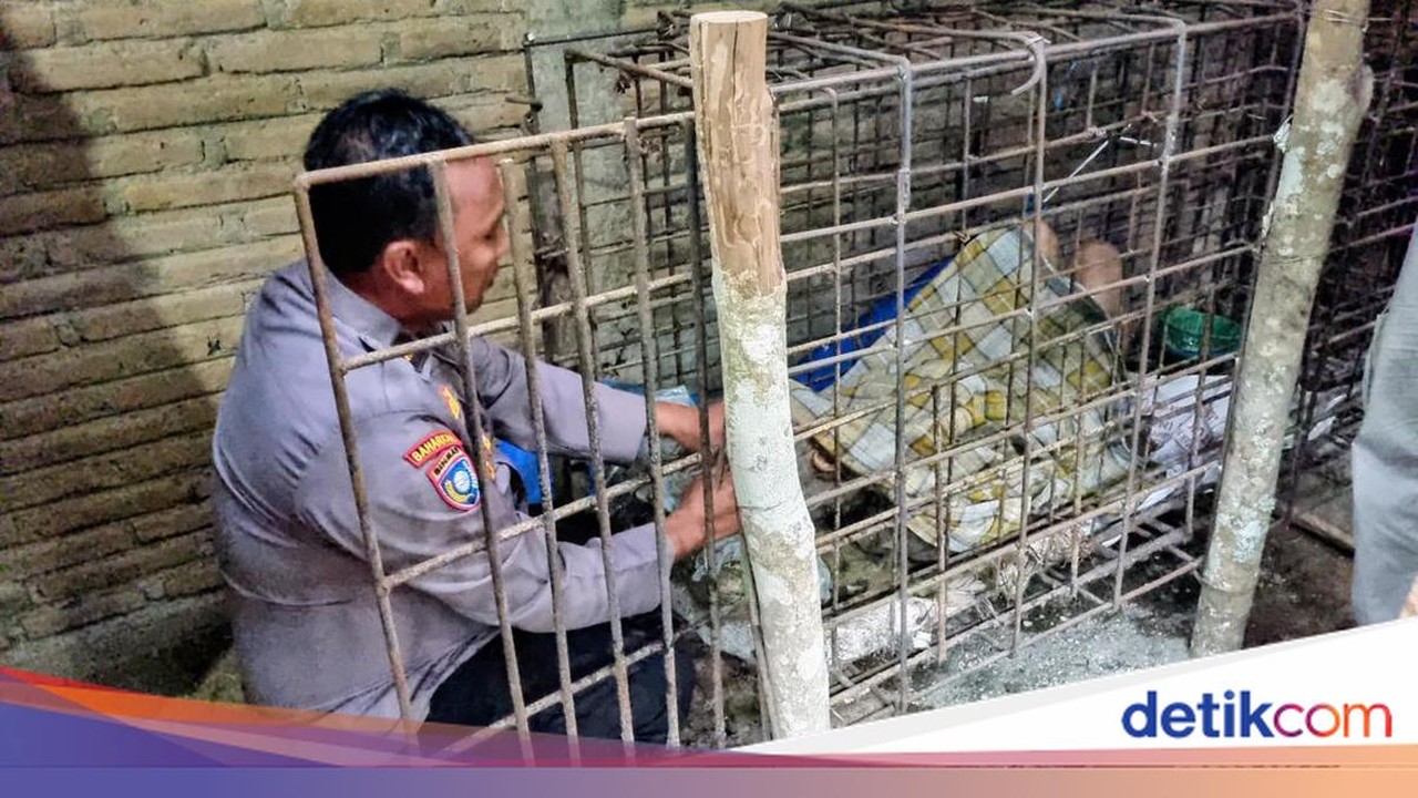 Dipasung 20 Tahun di Ponorogo, Pria ODGJ Dievakuasi Polisi Setelah Videonya Viral